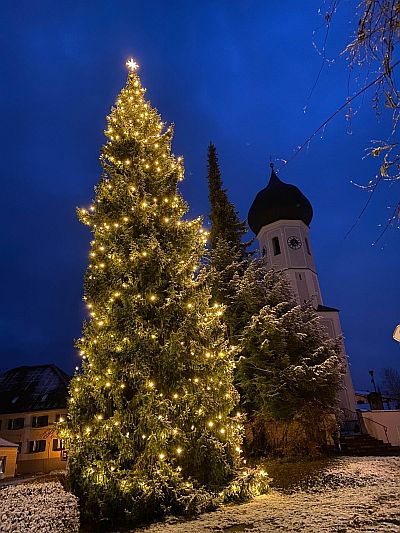 Christbaum
                                                        2021