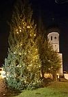 Christbaum



                                                          geschm�ckt
                                                          2020