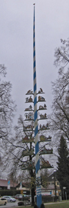 Maibaum