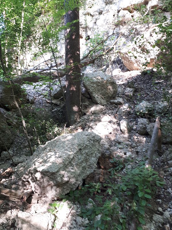 Felsabbruch
                                              Kletterwand Buchenhain
                                              2023