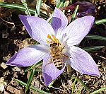 Frhling
                                          Ostern 2021