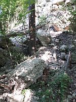 Kletterwand Buchenhain
                                        2024