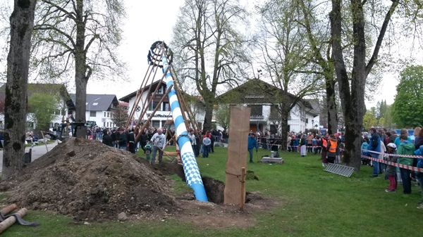 Maibaum Aufstellen